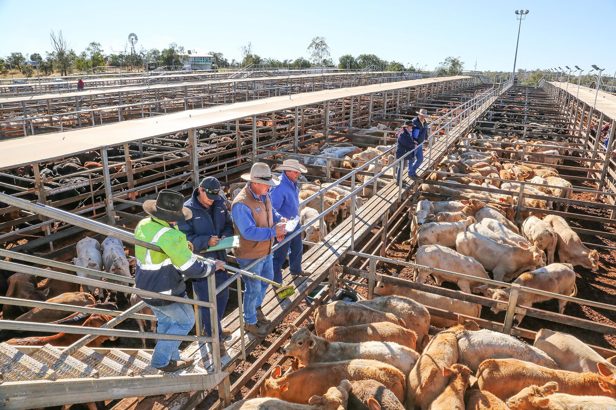roma-saleyards-roma-central-motel
